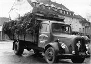 Erste Weihnachtsbaeume in Kreuztal 1956 1