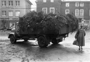 Erste Weihnachtsbaeume in Kreuztal 1956 2